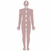 Les hémicorps : technique de sophrologie (relaxation dynamique du 1er degré)