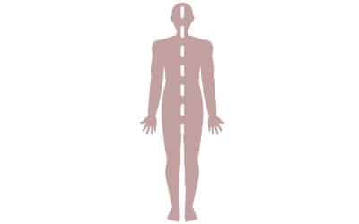 Les hémicorps : technique de sophrologie (relaxation dynamique du 1er degré)